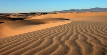 Verwehungen im Sand