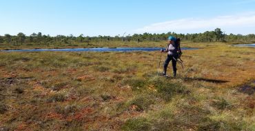 Moorwandertour im Soomaa Nationalpark
