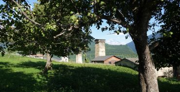 Obstgarten in Mestia