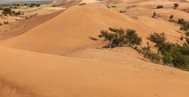 Dünenlandschaft in der Bayan Gobi