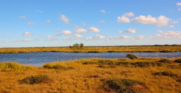 Moorkolke im Soomaa Nationalpark