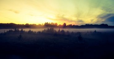 Morgennebel im Soomaa Nationalpark