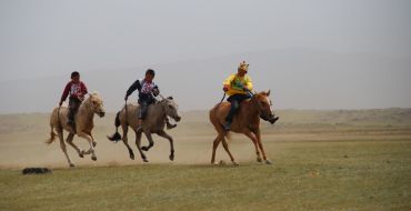 Naadam Pferderennen