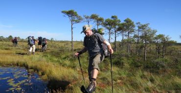 Vorsicht vor nassen Füßen beim Moorwandern