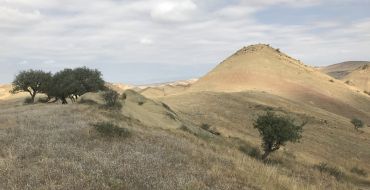 Wüstenlandschaft bei Udabno