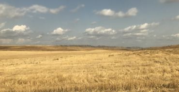 Steppenlandschaft bei Udabno