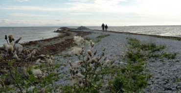 Wanderung auf  der Insel Hiumaa