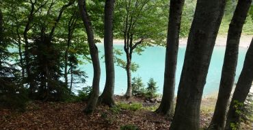 Der grüne See