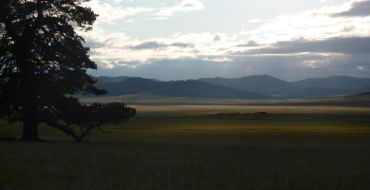 Abendstimmung in der Steppe