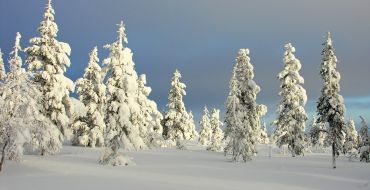 Vereiste Taiga